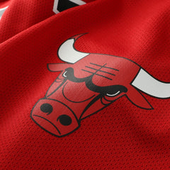 NBA Dennis Rodman Chicago Bulls Big & Tall NBA Hockey Jersey - Red