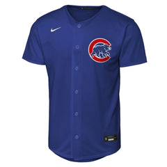 MLB Pete Crow-Armstrong Chicago Cubs Nike Youth Alternate Replica Jersey - Rush Blue