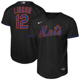 MLB Francisco Lindor New York Mets Nike Youth Alternate Replica Jersey - Black