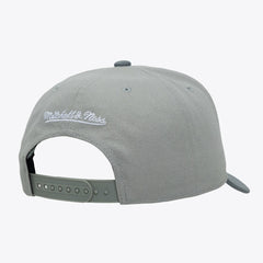 San Antonio Spurs Thunderstorm Head Coach Pro Crown Snapback Hat Gray