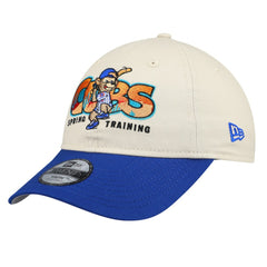 Chicago Cubs New Era Youth 2026 Spring Training Fan Pack Batter 9TWENTY Adjustable Hat - Stone/Royal Hats