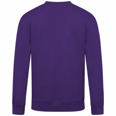 Colorado Rockies Levelwear Zane Banner Arch Sweatshirt - Purple Sweatshirts