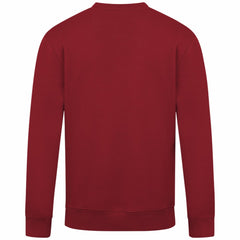 Arizona Diamondbacks Levelwear Zane Banner Arch Sweatshirt - Red Sweatshirts