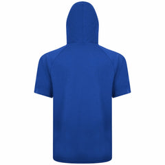 Toronto Blue Jays Levelwear Phase Banner Arch Hoodie T-Shirt - Royal Hoodies