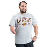 Los Angeles Lakers G-III Sports by Carl Banks Adaptive Classic Team Spirit Short Sleeve T-Shirt Gray