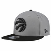 Toronto Raptors Core Logo Storm Gray Two-Tone 9FIFTY Snapback Hat Gray