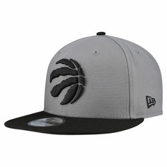 Toronto Raptors Core Logo Storm Gray Two-Tone 9FIFTY Snapback Hat Gray
