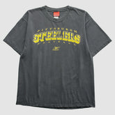 Pittsburgh Steelers Reebok 2000s T-Shirt Gray Vintage