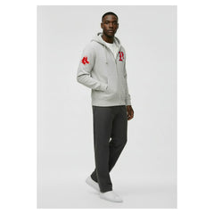 Boston Red Sox Champion Reverse Weave Chenille Full-Zip Hoodie - Gray Hoodies