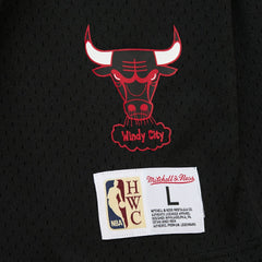 Dennis Rodman Chicago Bulls Mesh Name & Number Short Sleeve Hoodie Black