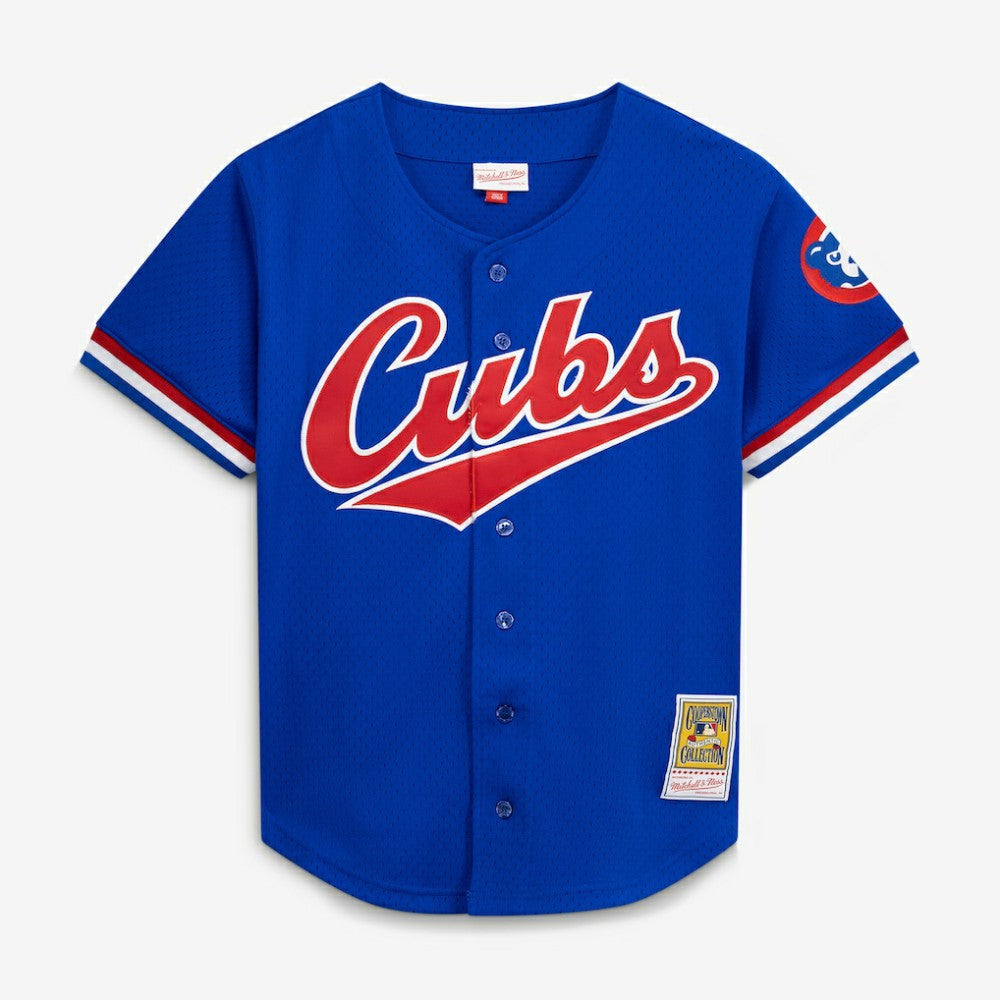 MLB Ryne Sandberg Chicago Cubs Mitchell & Ness Cooperstown Collection 1996 Mesh Batting Practice Button-Up Jersey - Royal