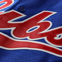 MLB Ryne Sandberg Chicago Cubs Mitchell & Ness Cooperstown Collection 1996 Mesh Batting Practice Button-Up Jersey - Royal