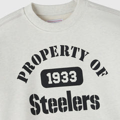Pittsburgh Steelers OVO x NFL Unisex Fleece Sweatshirt Heather Gray