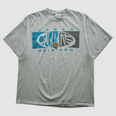 Jacksonville Jaguars Lee Apparel 2000s T-shirt Heather Gray Vintage