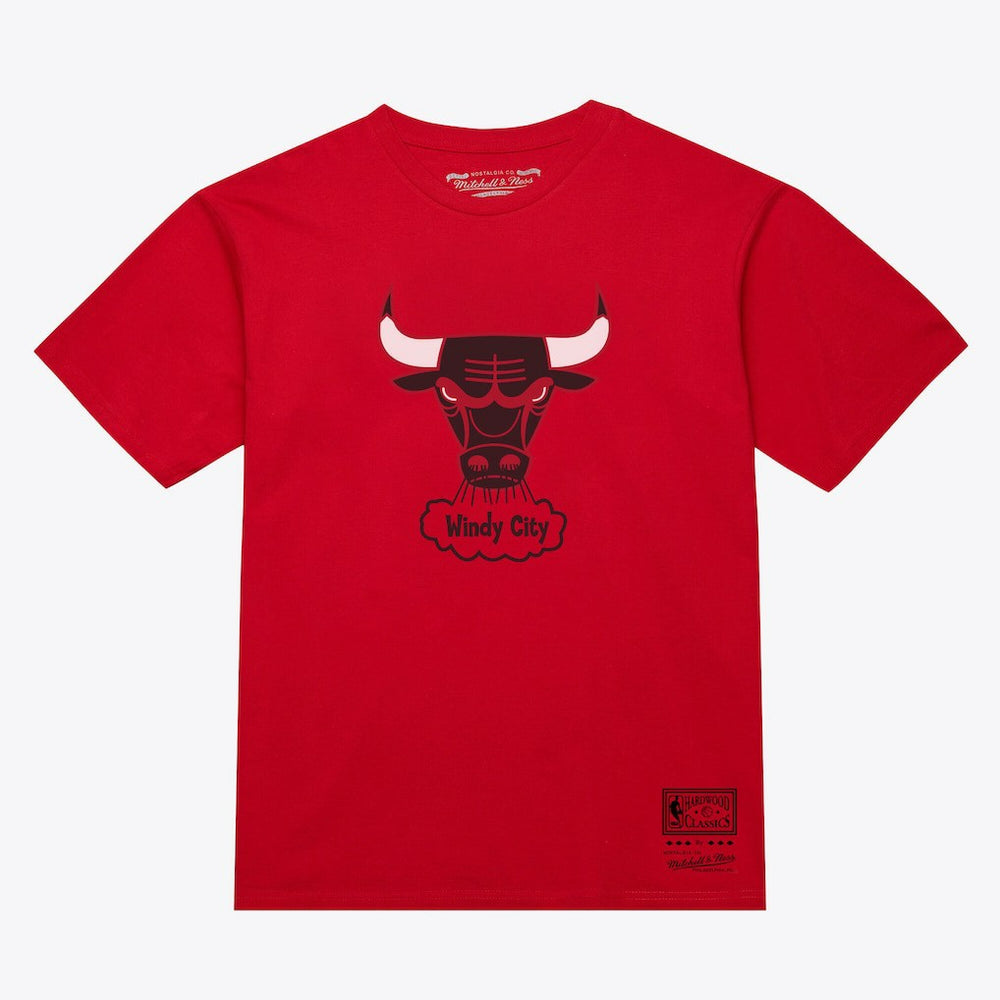 Chicago Bulls Unisex Hardwood Classics Arch T-Shirt Red