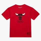 Chicago Bulls Unisex Hardwood Classics Arch T-Shirt Red