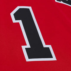 NBA Derrick Rose Chicago Bulls 2008-09 Authentic Jersey sale - Red