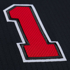 NBA Derrick Rose Chicago Bulls 2010-11 Authentic Jersey sale - Black