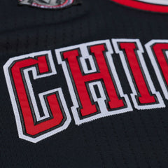 NBA Derrick Rose Chicago Bulls 2010-11 Authentic Jersey sale - Black