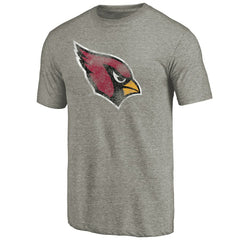 Arizona Cardinals Distressed Team T-Shirt Ash