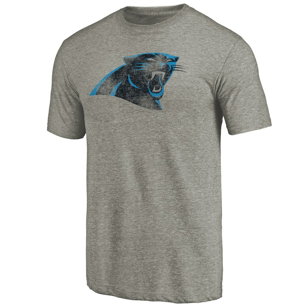 Carolina Panthers Distressed Team T-Shirt Ash
