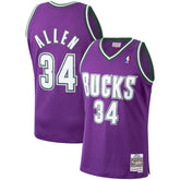 NBA Ray Allen Milwaukee Bucks 2000/01 Hardwood Classics Swingman Jersey - Purple