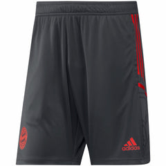Bayern Munich Training AEROREADY Shorts Gray shop