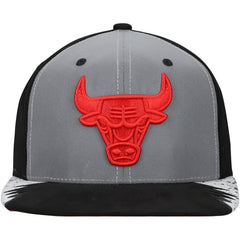 Chicago Bulls Day 5 Snapback Hat Silver/Gray