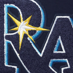 Tampa Bay Rays Pro Standard Team T-Shirt - Navy T-shirts