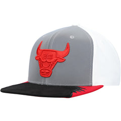 Chicago Bulls Day 5 Snapback Hat Gray/White