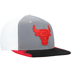 Chicago Bulls Day 5 Snapback Hat Gray/White