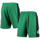 Boston Celtics 2007 Hardwood Classics 75th Anniversary Swingman Shorts Kelly Green