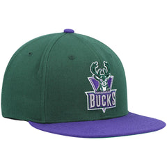 Milwaukee Bucks Hardwood Classics Team Two-Tone 2.0 Snapback Hat Green/Purple