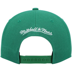 Boston Celtics Hardwood Classics Team Ground 2.0 Snapback Hat Kelly Green