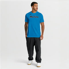 Miami Marlins Nike New Legend Wordmark Dri-FIT T-Shirt - Light Blue T-shirts