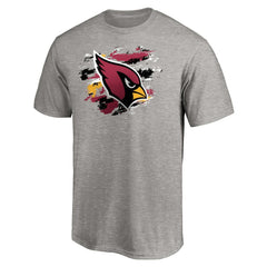 Arizona Cardinals True Color T-Shirt Heather Gray