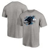 Carolina Panthers True Color T-Shirt Heather Gray