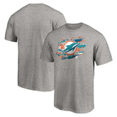 Miami Dolphins True Color T-Shirt Heather Gray