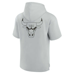 Chicago Bulls Unisex Elements Super Soft Fleece Short Sleeve Pullover Hoodie Gray