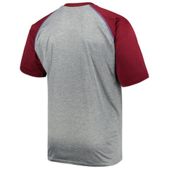 NHL Colorado Avalanche Big & Tall Logo Raglan T-Shirt - Heather Gray