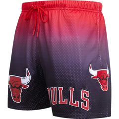 Chicago Bulls Pro Standard Ombre Mesh Shorts Black/Red