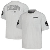Chicago Cubs PLEASURES Team T-Shirt - Gray T-shirts