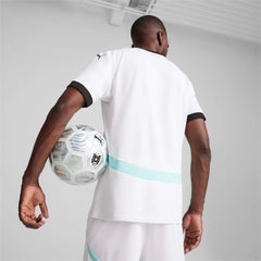 Puma 2024-25 Austria Men's Stadium Away Soccer Jersey