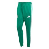 Adidas 2026 Mexico Men's DNA Pants Bold Green