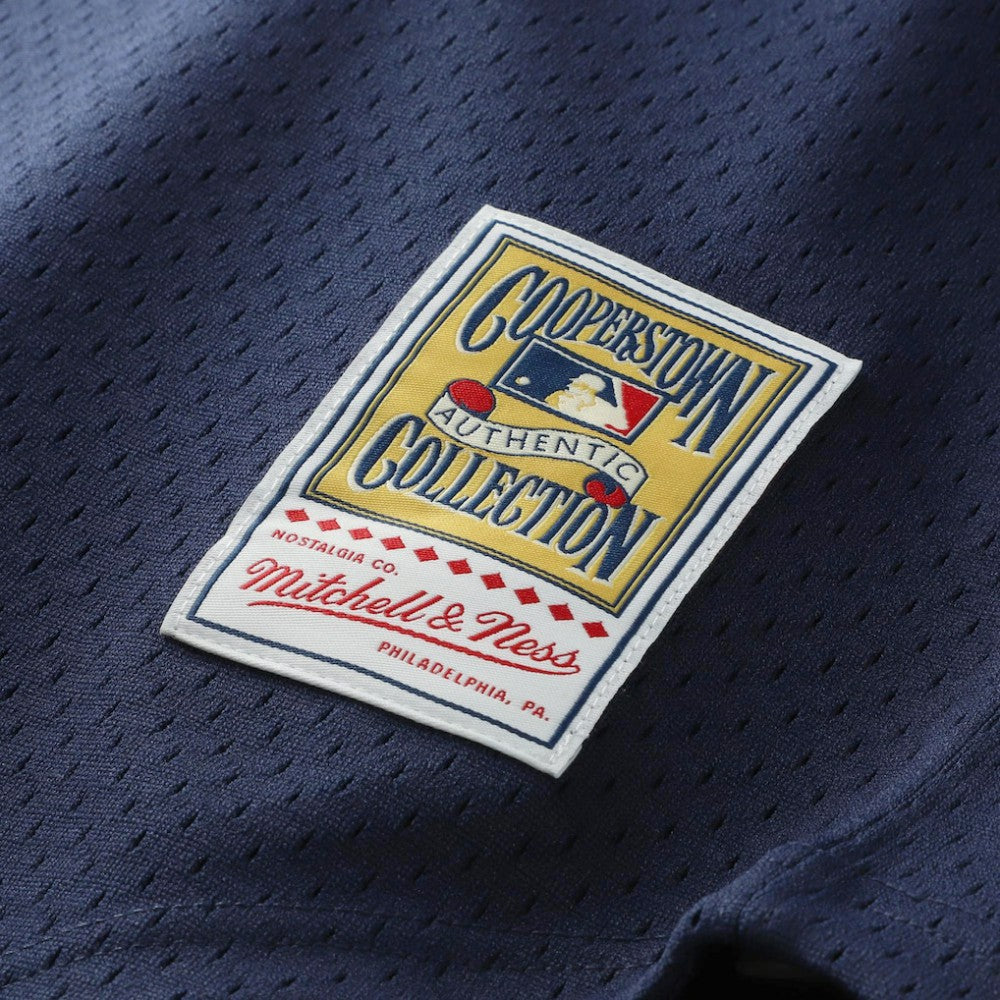 Kirby Puckett Minnesota Twins Mitchell & Ness Authentic Batting Practice Jersey - Navy Jerseys