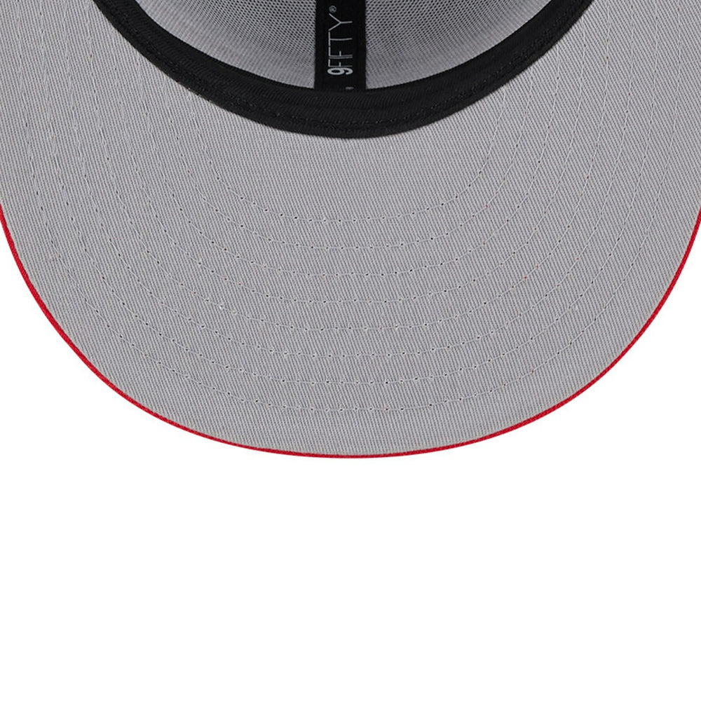 Toronto Raptors Chenille Band 9FIFTY Snapback Hat Gray