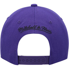 Sacramento Kings MVP Team Two-Tone 2.0 Stretch-Snapback Hat Purple/Black