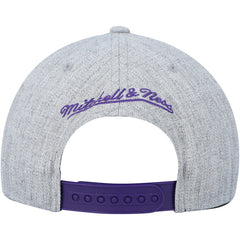 Toronto Raptors Hardwood Classics 2.0 Snapback Hat Heather Gray