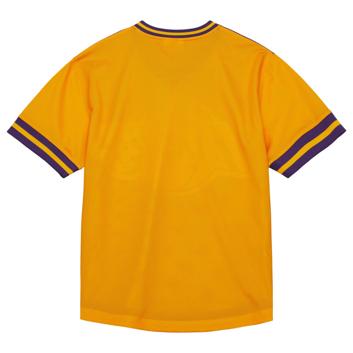 Los Angeles Lakers Jumbotron 3.0 Mesh V-Neck T-Shirt Purple