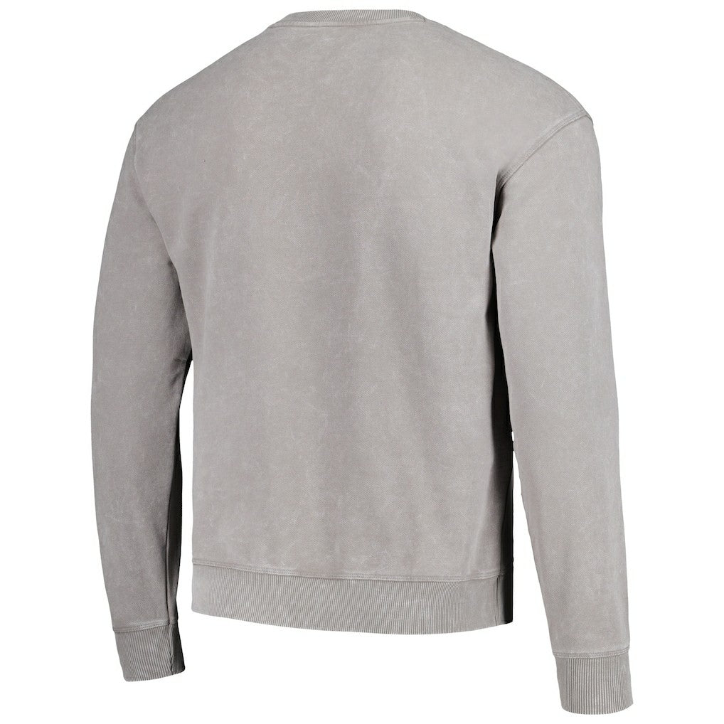 Carolina Panthers The Wild Collective Unisex Distressed Pullover Sweatshirt Gray